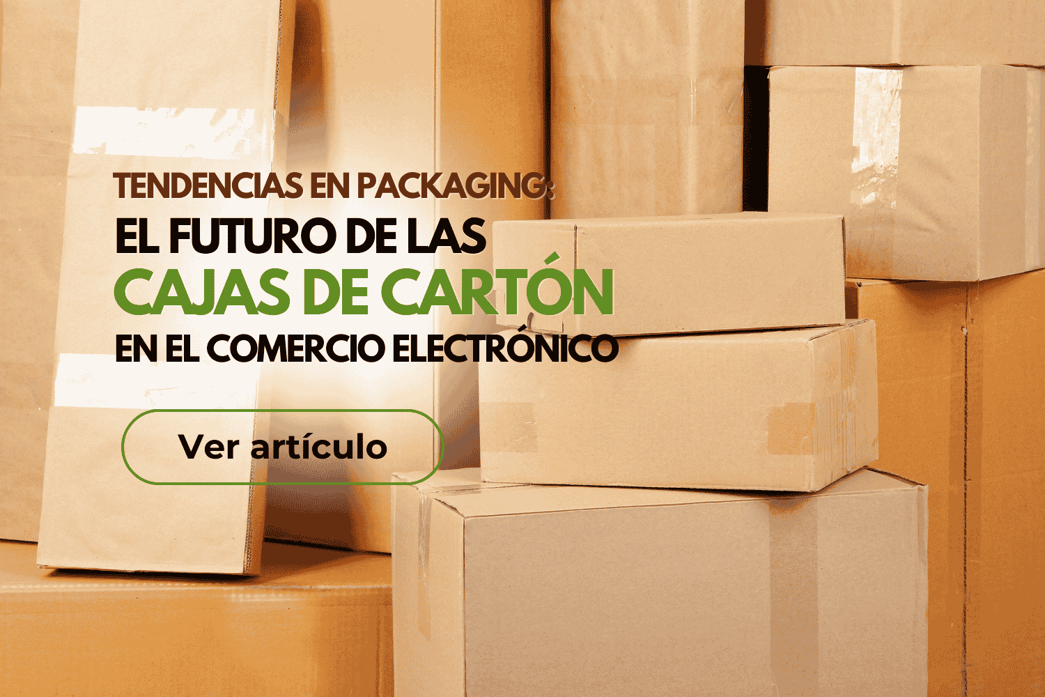 cajas de cartón (2)