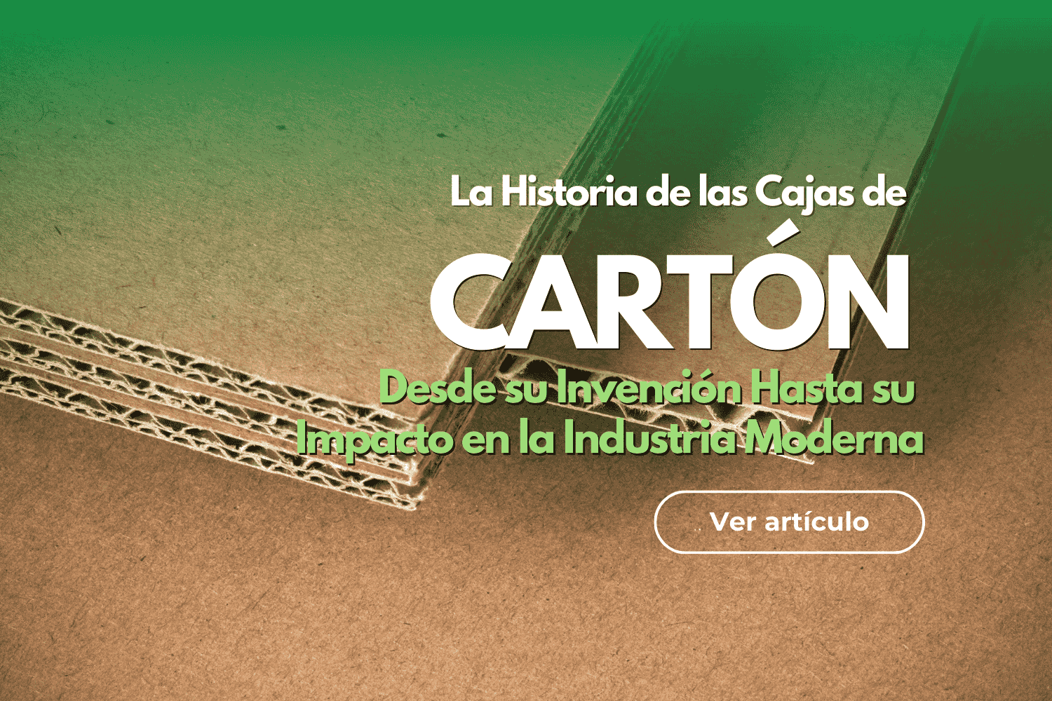 cajas de cartón (4)